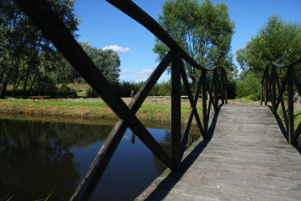 Ślub blisko natury foto 10
