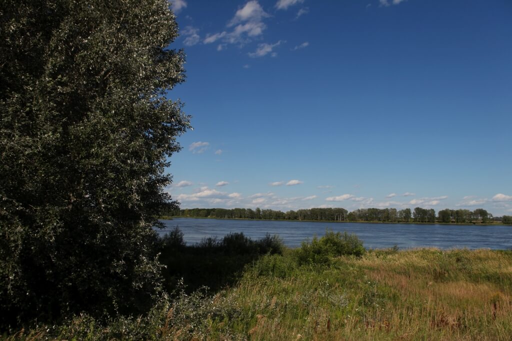 Ślub blisko natury foto 7